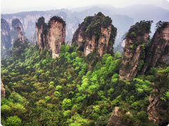 Zhangjiajie Tour